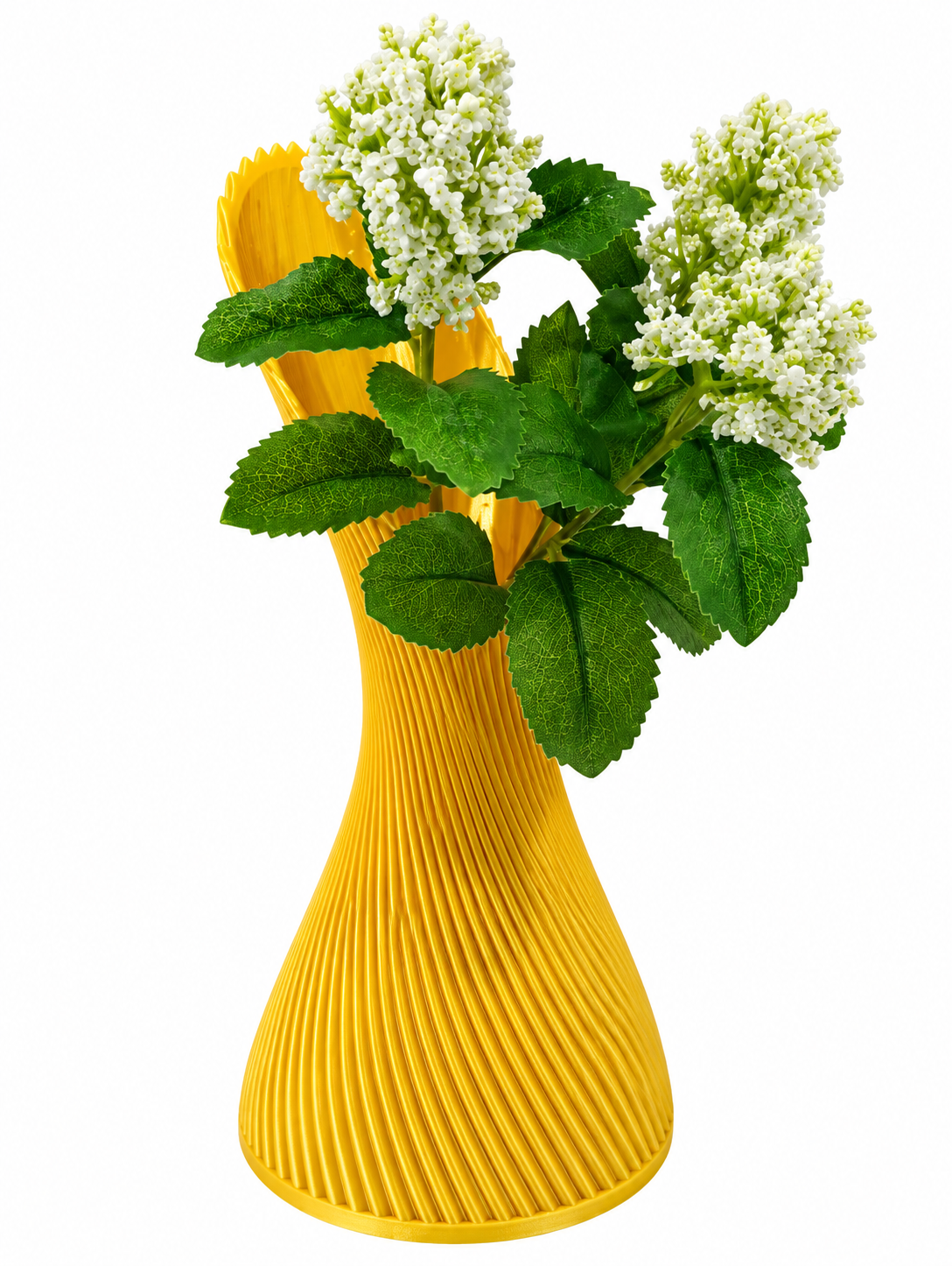 BELLA
